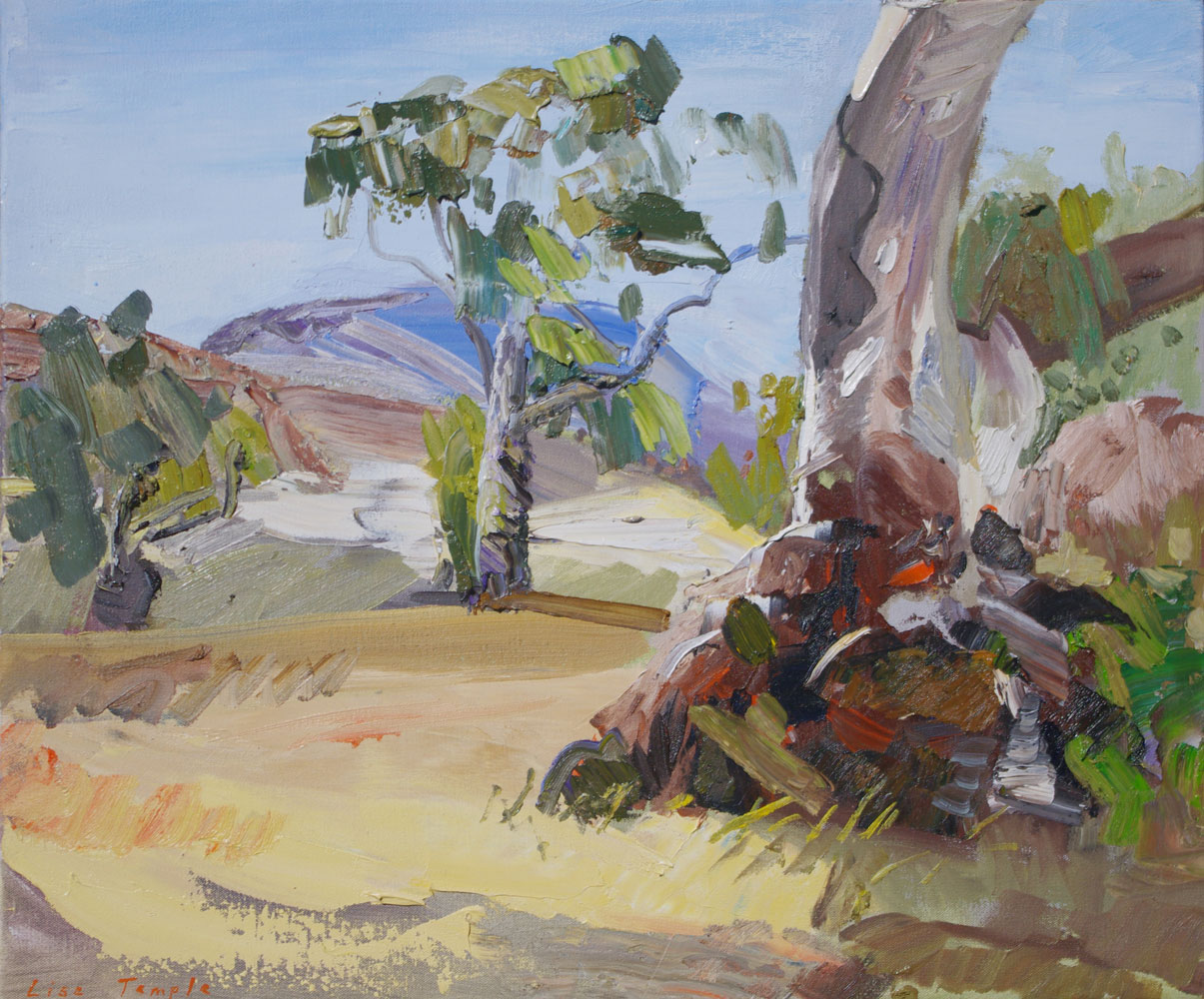 Landscape painting of gum trees by Lise Temple