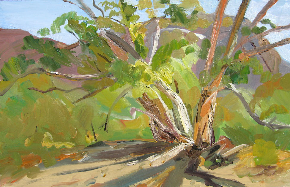 Landscape painting of Flinders Ranges by Lise Temple