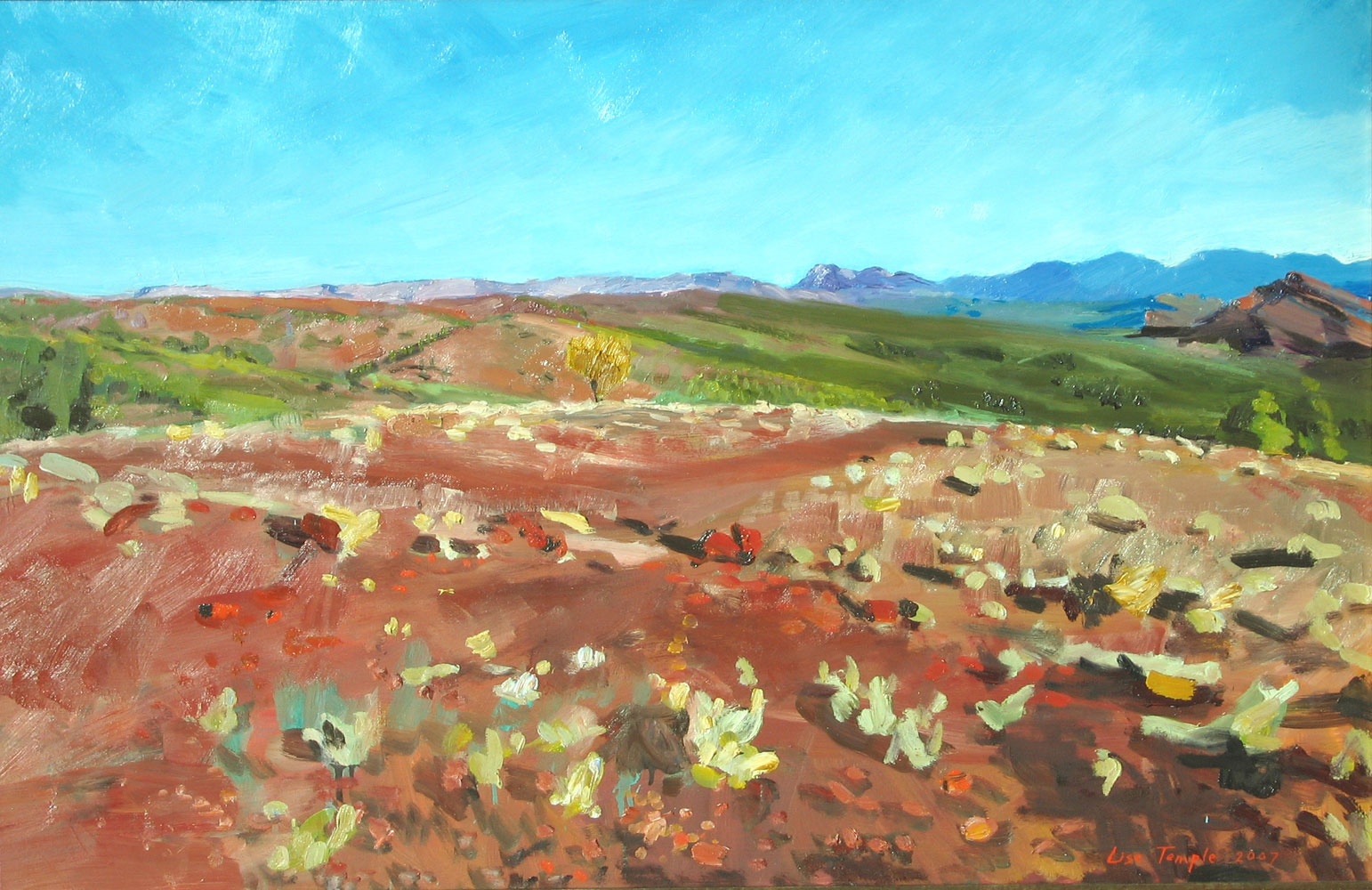 landscape oil painting of Flinders Ranges by Lise Temple